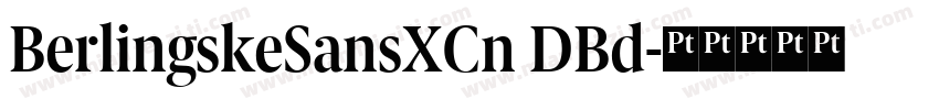 BerlingskeSansXCn DBd字体转换